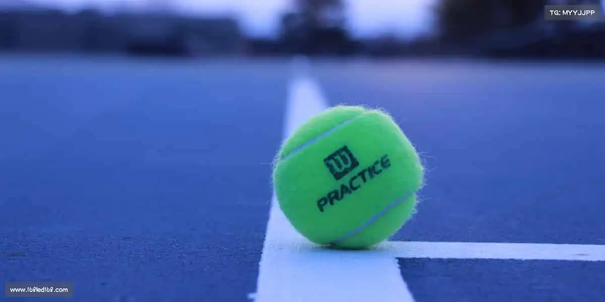 米兰体育🏃♀️奔跑吧,追光者!用脚步丈量梦想,用汗水见证成长~